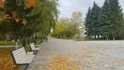 В мэрии Нижнекамска разъяснили, куда можно ходить без QR-кода - НТР 24