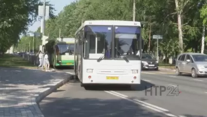 Ирина Волынец предложила ввести еще одну льготу для многодетных - НТР 24