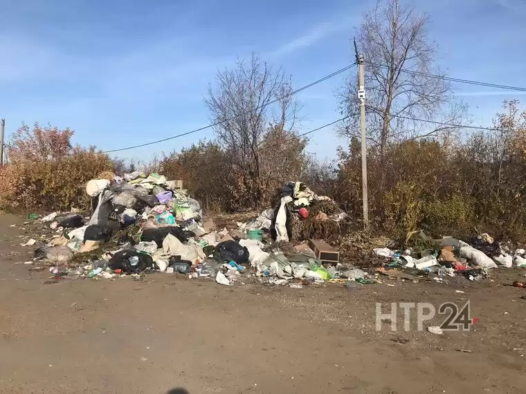 Горы мусора