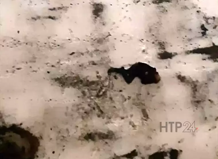 Жильцы дома в Нижнекамске сообщили о неподвижно лежащем на снегу мужчине