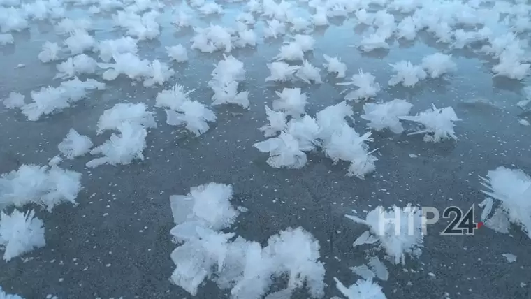 Жителей Татарстана предупредили о мокром снеге, сильном ветре и морозах до -8