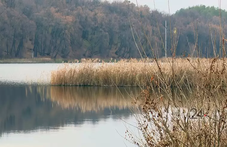 Пионерское озеро в Нижнекамске могут включить в федеральную программу по сохранению водных объектов