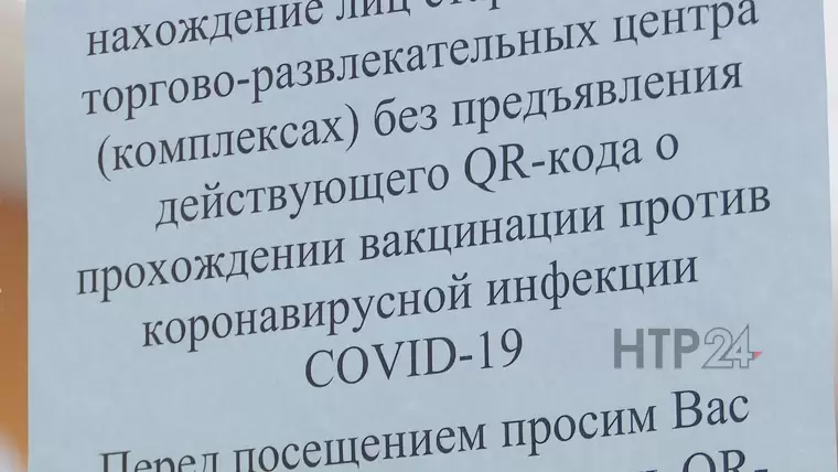 Администратора магазина в Нижнекамске оштрафовали за выборочную проверку QR-кодов