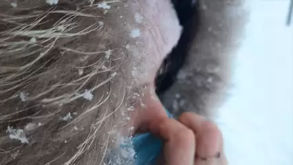 В Татарстане вновь прогнозируется метель с ухудшением видимости - НТР 24