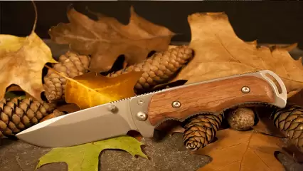 В Татарстане женщина вонзила нож в спину мужа подруги - НТР 24