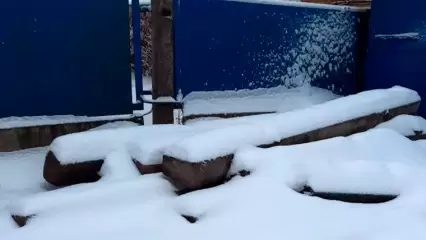 Жители Нижнекамска опасаются оставленных ремонтниками бордюров - НТР 24