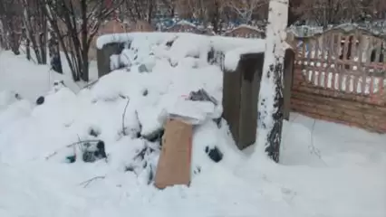 Около кладбища под Нижнекамском образовалась несанкционированная свалка - НТР 24