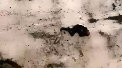 Жильцы дома в Нижнекамске сообщили о неподвижно лежащем на снегу мужчине - НТР 24