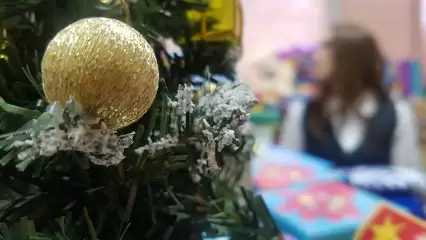 В России подорожали новогодние ёлки - НТР 24