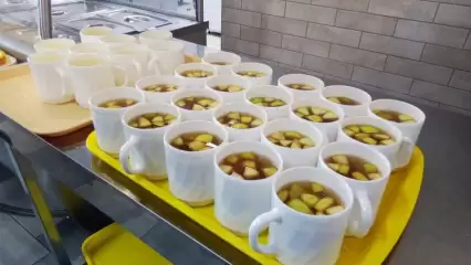 Нижнекамцы пожаловались на качество питания в школах и детсадах - НТР 24