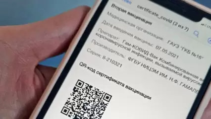 Голикова: сертификат о вакцинации должен стать таким же важным, как паспорт - НТР 24