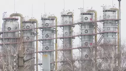 «Нижнекамскнефтехим» отчитался об уровне коллективного иммунитета среди работников предприятия - НТР 24