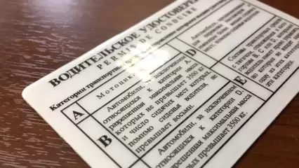 В России хотят увеличить штрафы за поддельные права - НТР 24