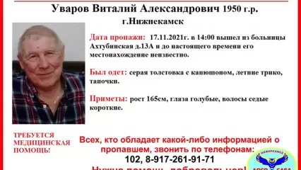 Нижнекамцы отправились на поиски пропавшего в тапочках и летнем трико мужчины - НТР 24