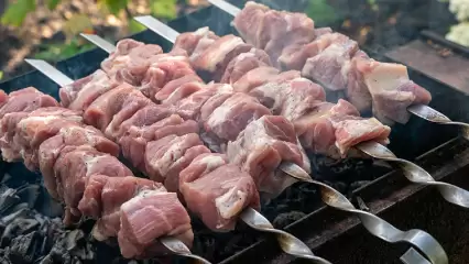 В Татарстане житель села убил соседа за непожаренный шашлык - НТР 24