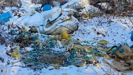 Нижнекамская городская прокуратура добилась ликвидации свалки шприцев - НТР 24