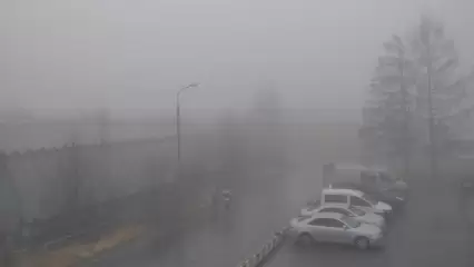 Из-за тумана в Москве задержаны и отменены авиарейсы из Нижнекамска - НТР 24