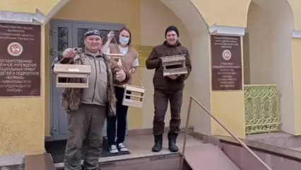 Жители Нижнекамска проявили фантазию, делая кормушки для птиц - НТР 24
