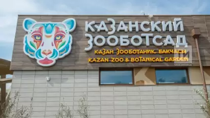 В Казанском зоопарке ожидается пополнение