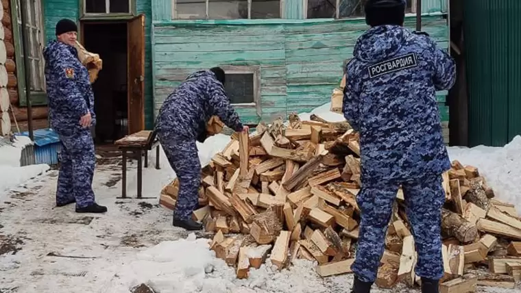 В Татарстане росгвардейцы приехали к милиционеру и накололи ему дров