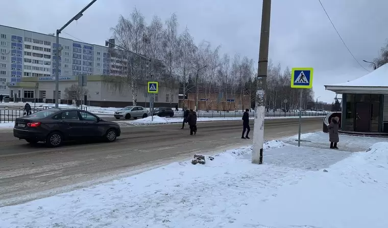 ГИБДД Нижнекамска просит откликнуться автомобилиста, предложившего помощь пострадавшим пешеходам
