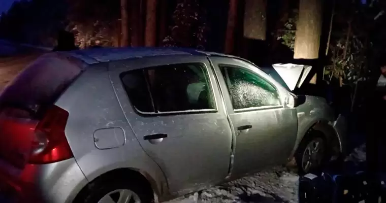 В Татарстане в аварии пострадали водитель и два молодых пассажира