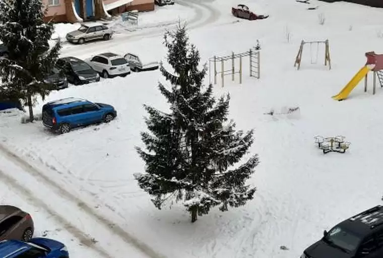 В Нижнекамске после демонтажа старых ограждений во дворах начался бум нарушений парковки