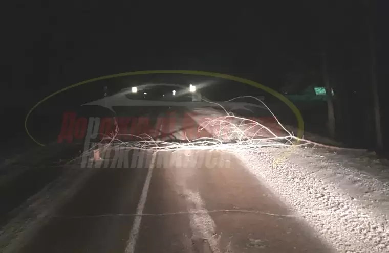 Неизвестные устроили ловушки на дорогах в Нижнекамском районе