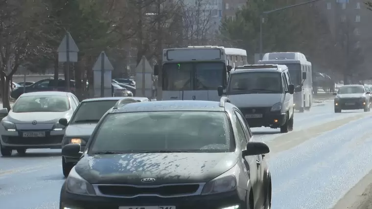 В Нижнекамске из-за обрезки деревьев временно перекроют участок дороги