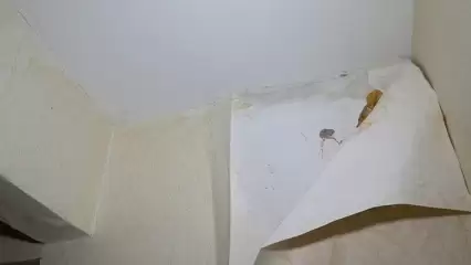 Нижнекамцы пожаловались на протекающую крышу в доме - НТР 24