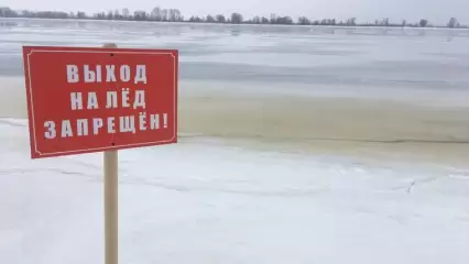 В одном из парков Казани заметили молодых людей, катающихся на коньках по тонкому льду - НТР 24