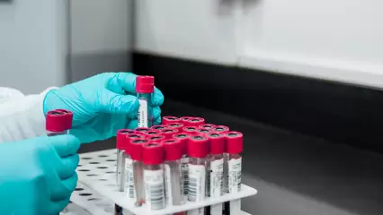 Голикова: власти России создали план для борьбы с распространением нового штамма коронавируса - НТР 24