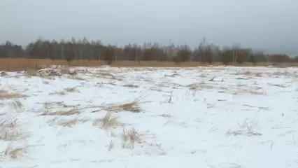 Нижнекамцам рассказали, что будет, если запустить салют в неположенном месте - НТР 24