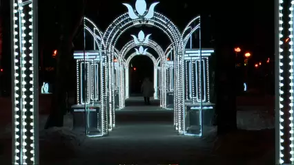 Юные нижнекамцы смогут лично встретиться с Дедом Морозом - НТР 24