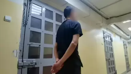 В Нижнекамске арестовали мужчин, которые не заплатили за купленный телефон  - НТР 24