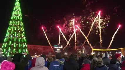 В парке «Нефтехимиков» открылась новогодняя ёлка - НТР 24