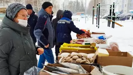 Жители Нижнекамска остались довольны предновогодними ярмарками во дворах - НТР 24