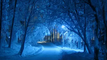 Синоптики рассказали жителям Татарстана о погоде в новогоднюю ночь