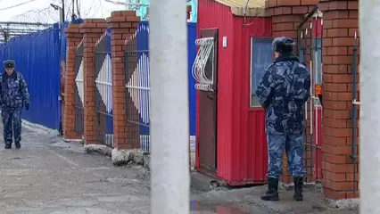 Нижнекамский суд отклонил ходатайство главы «Свея» на замену срока принудительными работами - НТР 24