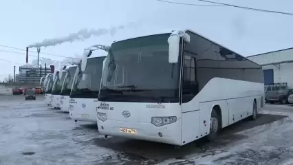 Нижнекамских шинников будут перевозить новые автобусы - НТР 24