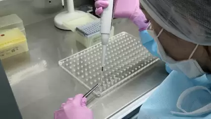 В России QR-коды будут выдавать по наличию антител к коронавирусу - НТР 24