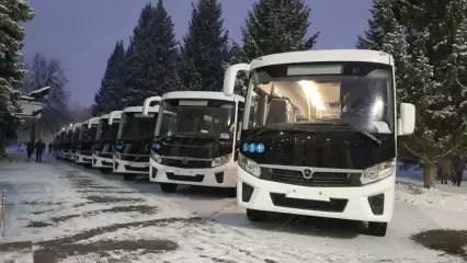 В Нижнекамск прибыла первая партия новых автобусов - НТР 24