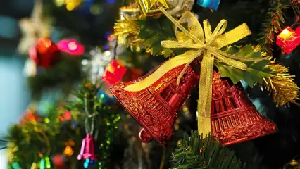 Празднующим Новый год не по правилам нижнекамцам напомнили о крупных штрафах - НТР 24