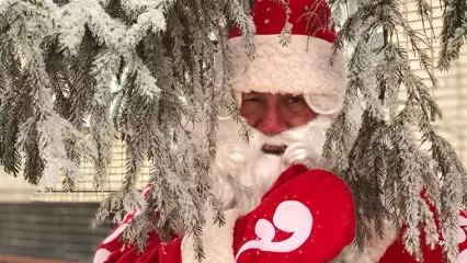 В Нижнекамске откроется резиденция Деда Мороза - НТР 24