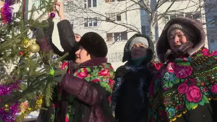 Нижнекамцы показали, как готовятся к встрече Нового года - НТР 24