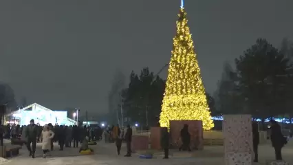 В Нижнекамске 23 декабря открывается первый ёлочный городок