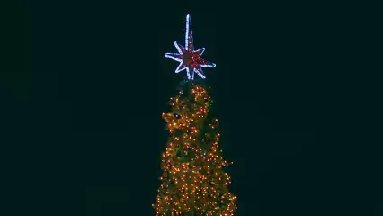 На президентскую елку в Казань поедут 140 детей из Нижнекамска и района - НТР 24