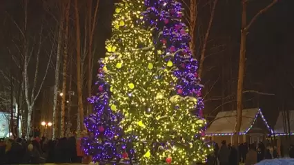 В Нижнекамске состоится открытие елочного городка в парке им. Тукая - НТР 24