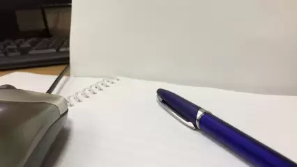 Нижнекамцы смогут записаться на общественный приём - НТР 24