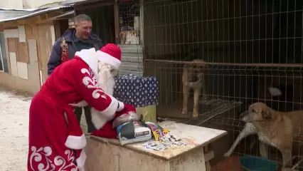 Дед Мороз передал корм для нижнекамского приюта бездомных животных